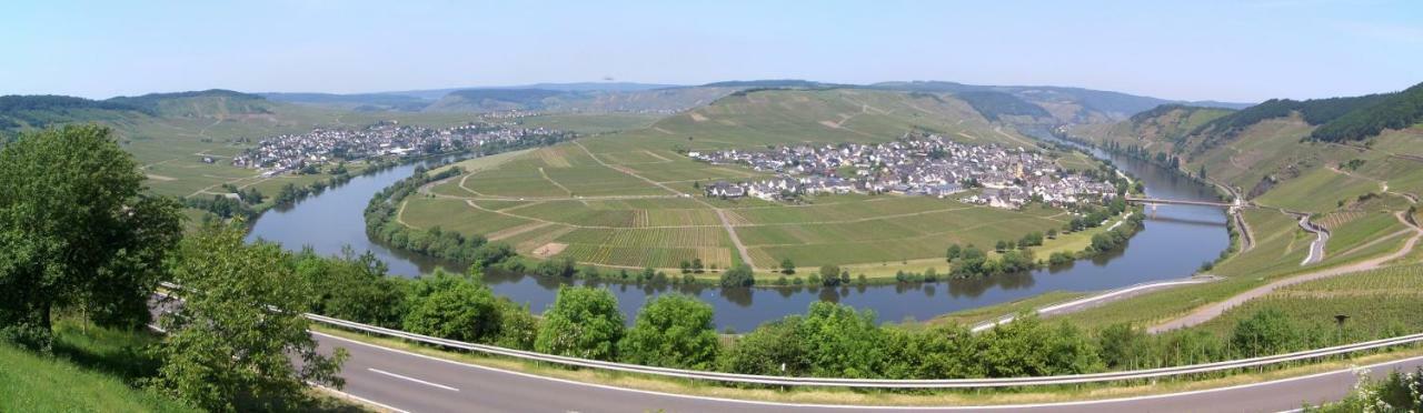 Отель Galerie Riesling Триттенхайм Экстерьер фото